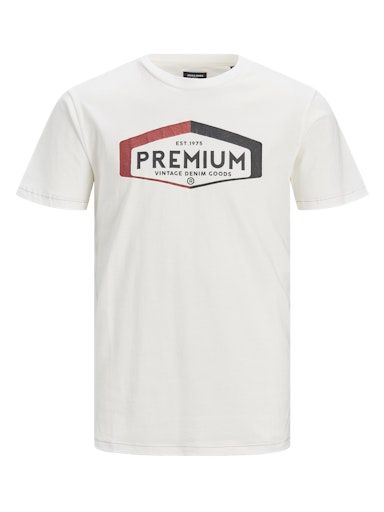 JPRBLUCARY TEE SS CREWNECK L CLOUD-DANCER