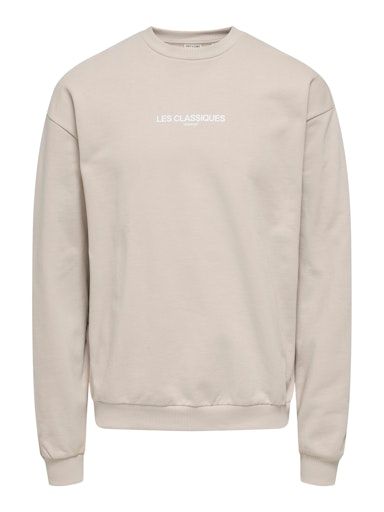 ONSLES CLASSIQUES LOOSE CREWNECK N L SILVER-LINING